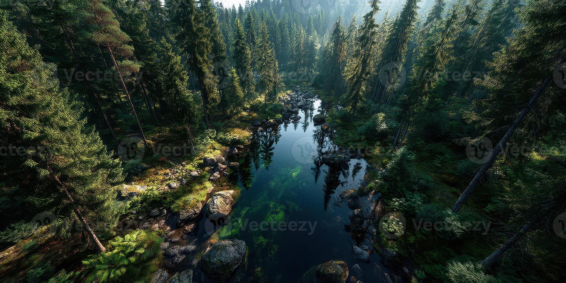 Lush green forest with a serene river reflecting trees during daylight photo