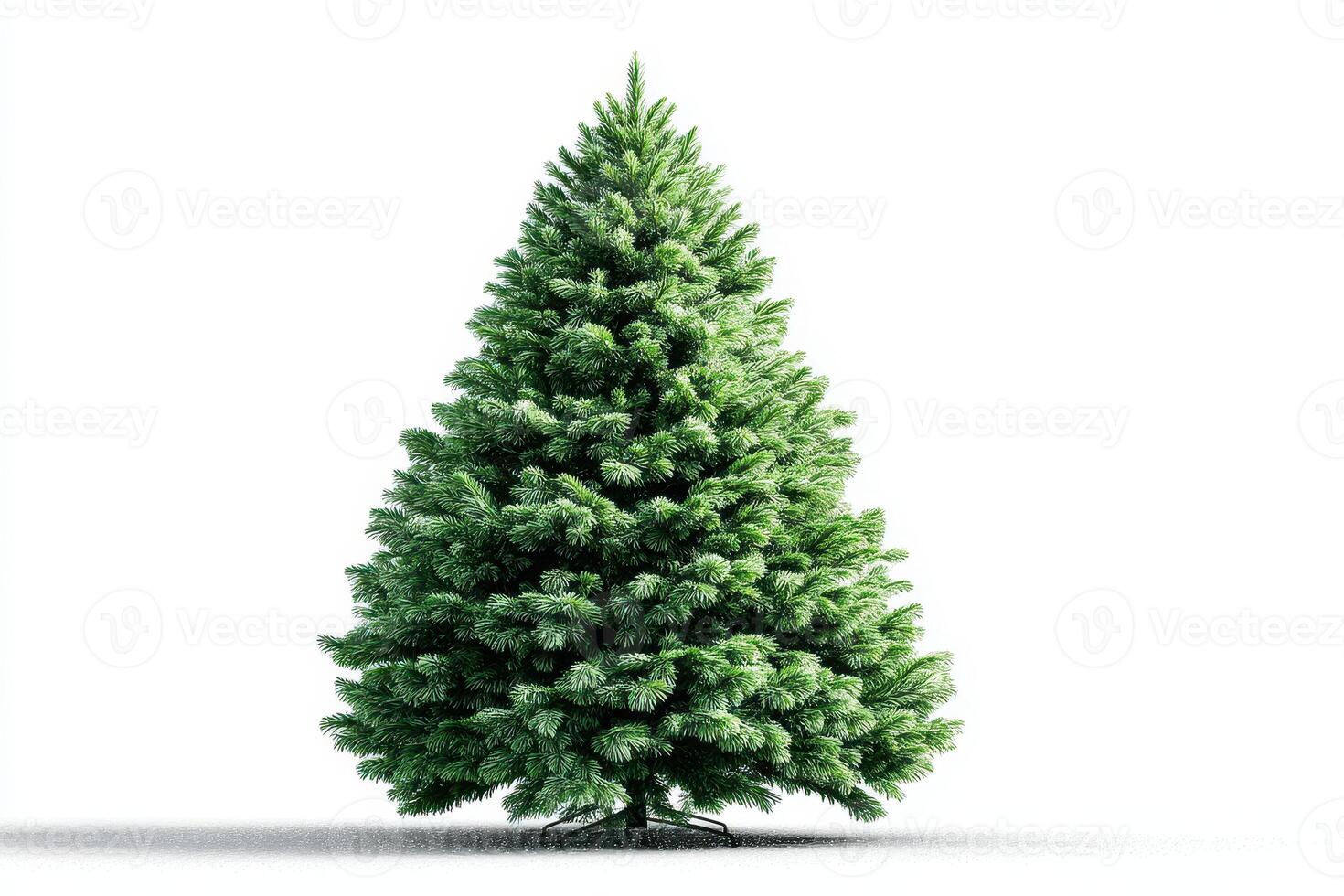 Evergreen tree with lush green foliage perfect for holiday decorations indoors or outdoors during winter season photo