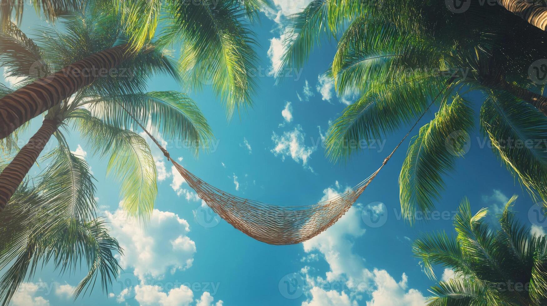 Person Relaxing in Hammock Under Palm Trees, Sunny Day photo