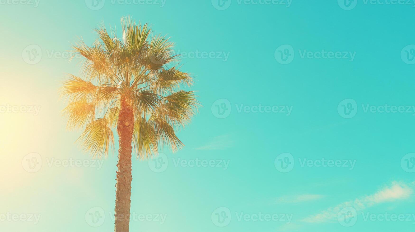 Single Palm Tree Against a Vibrant Blue Sky photo