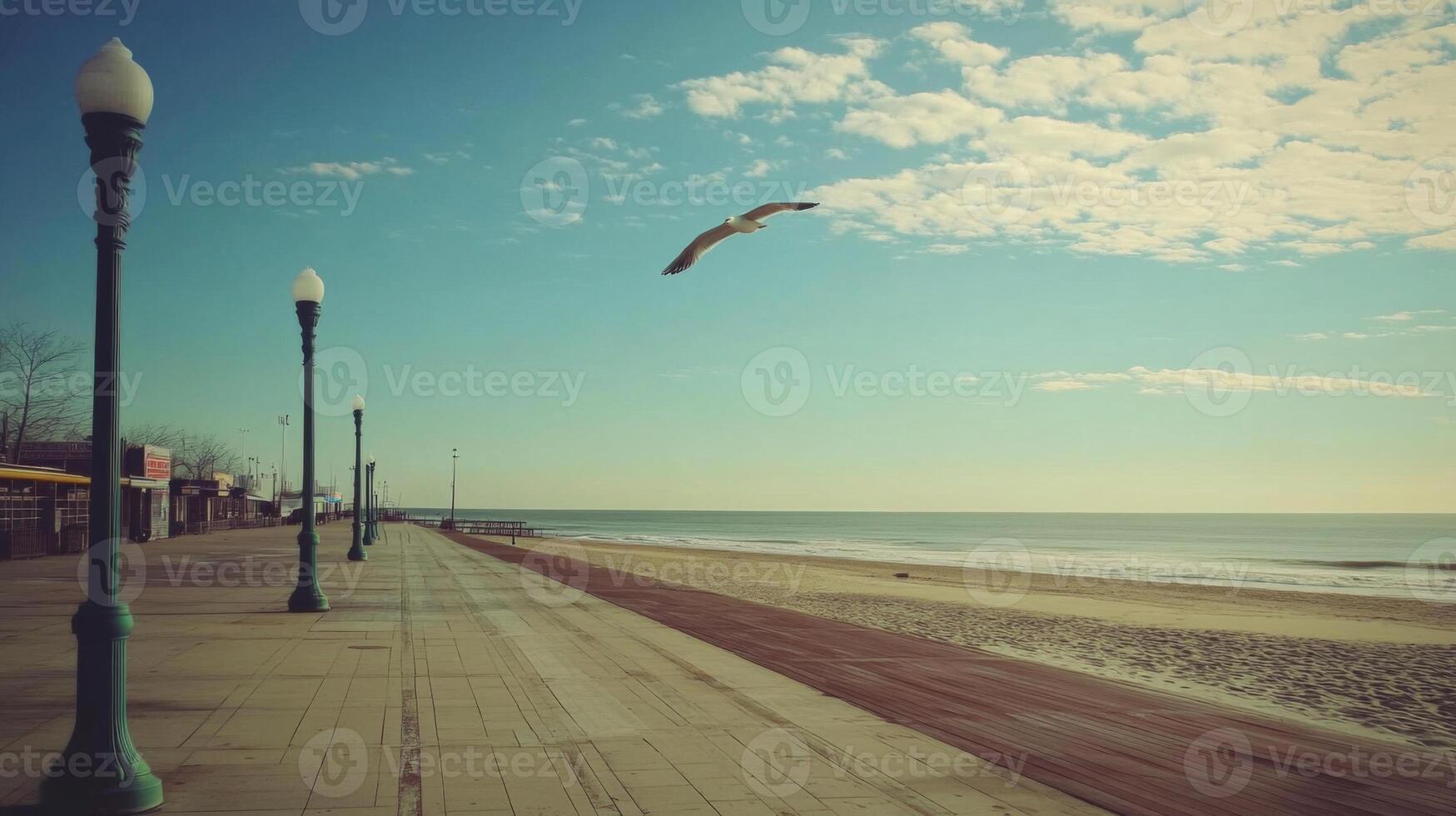 Seagull Flying Over Sandy Beach Coastline Under Blue Sky photo
