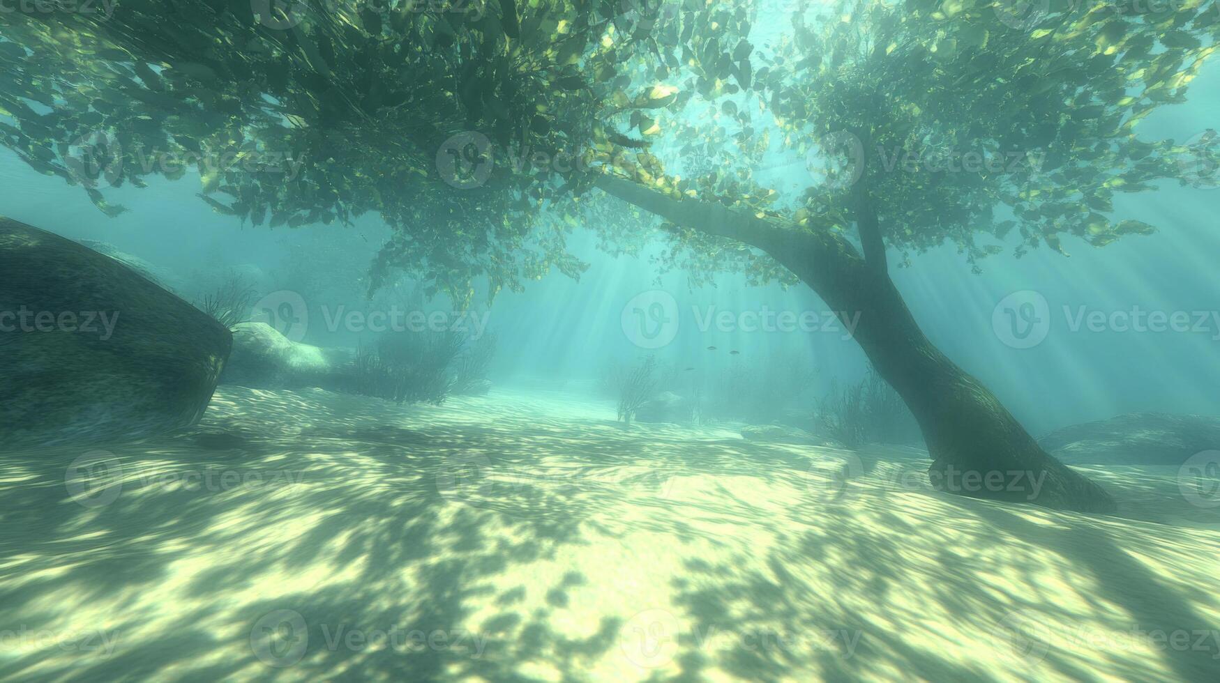 Submerged Underwater Tree with Sunlight Rays and Sandy Bottom photo