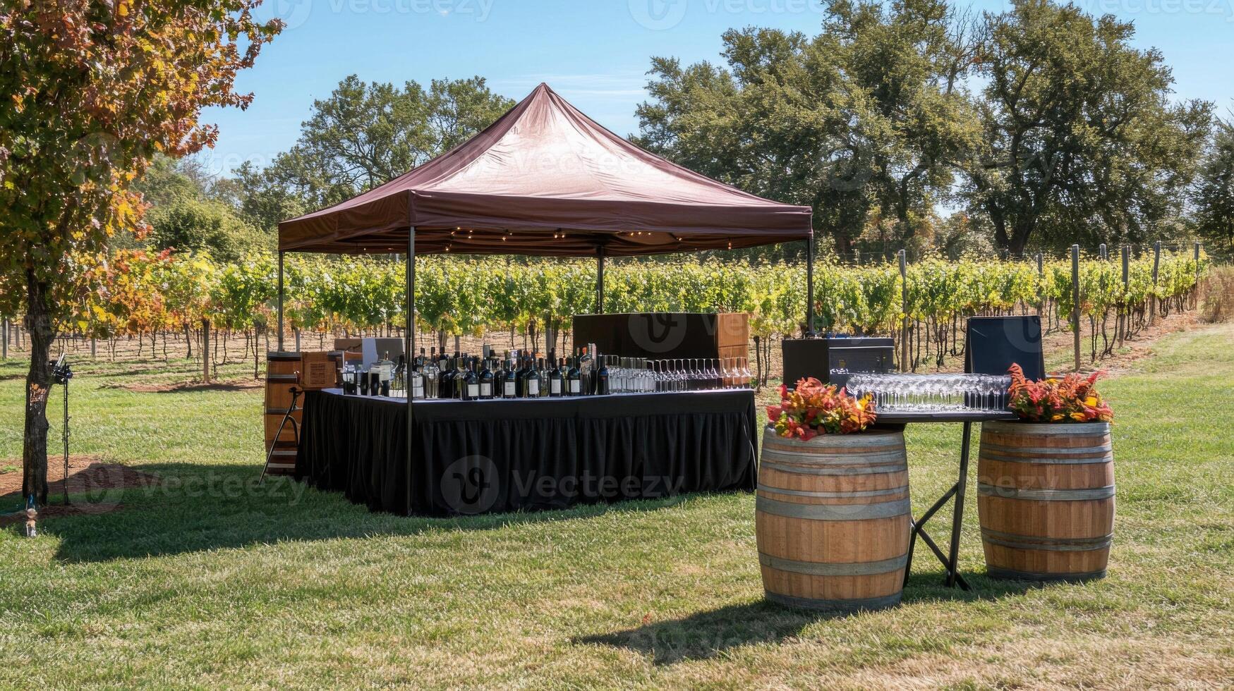 Outdoor Wine Tasting Setup at Vineyard photo