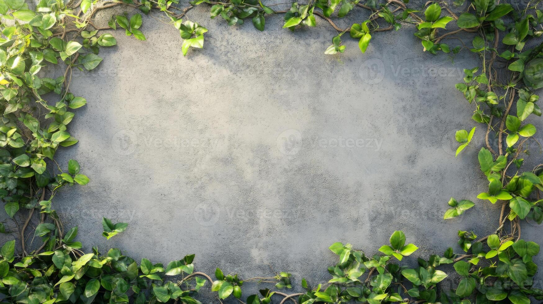 Green Ivy Frame on Grey Concrete Wall photo