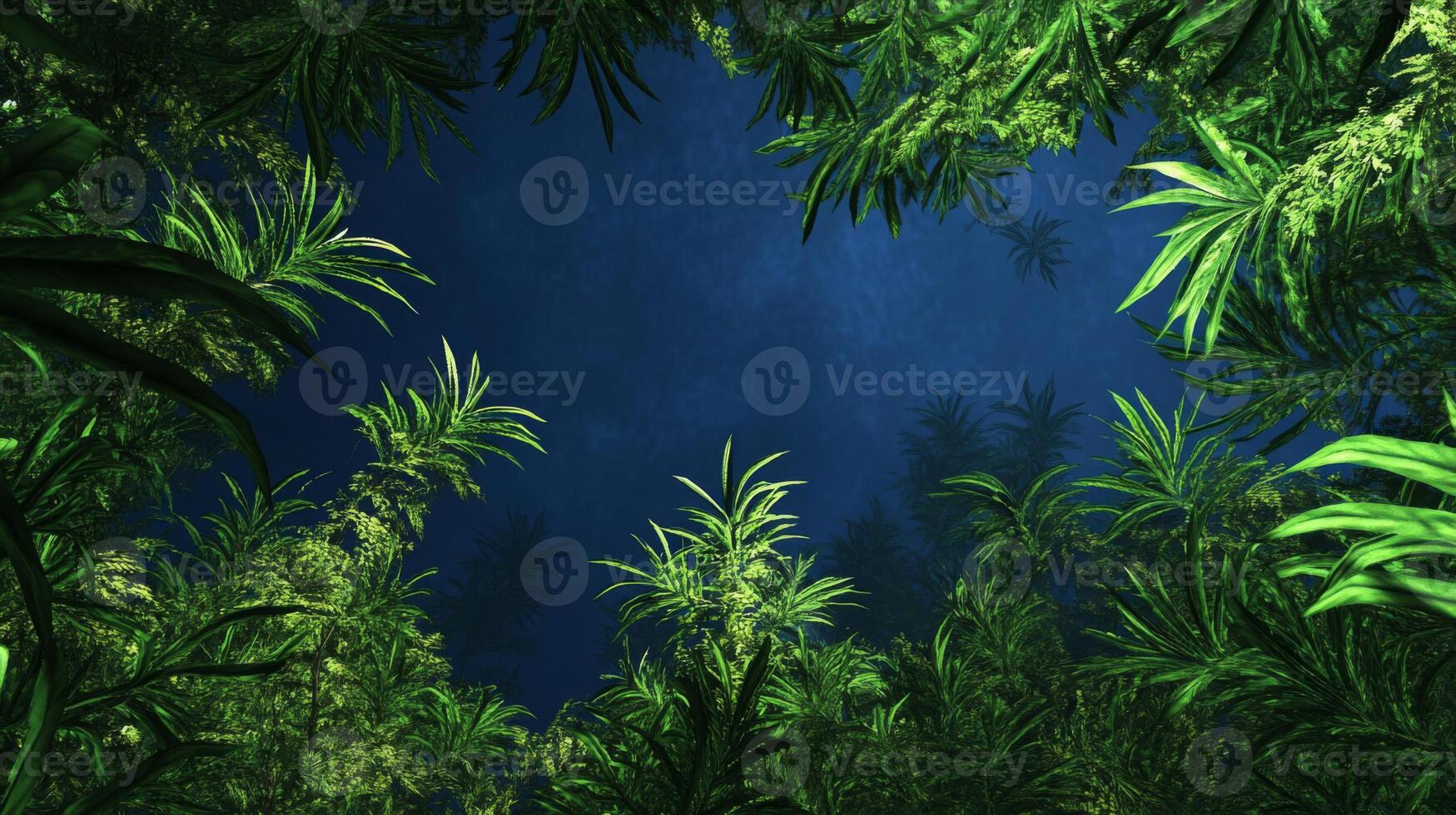 Lush Green Tropical Forest Canopy at Night photo