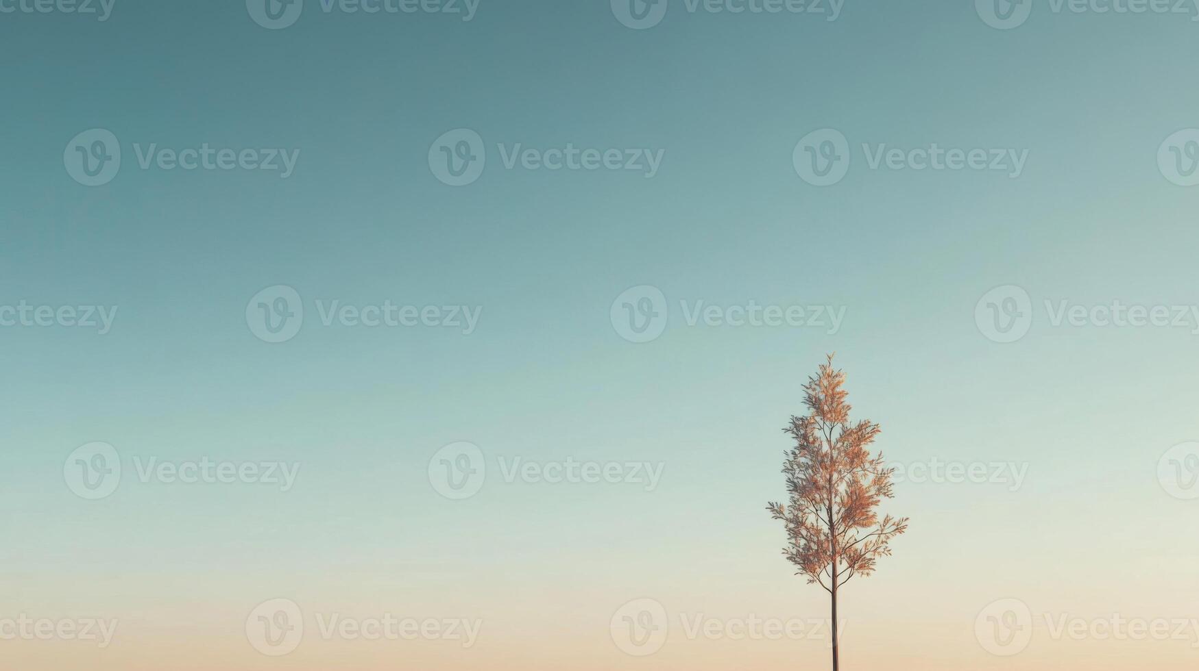 Single Tree Silhouette Against a Pastel Sunset Sky photo