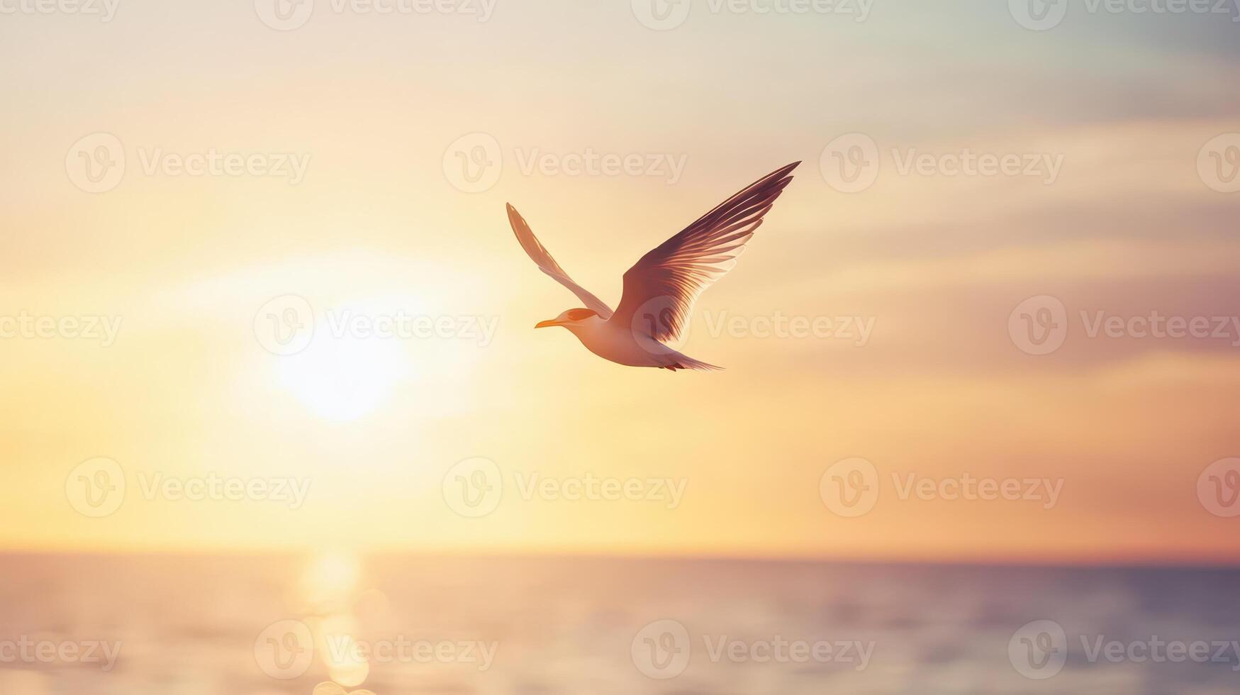 Bird soaring against a vibrant sunset sky photo