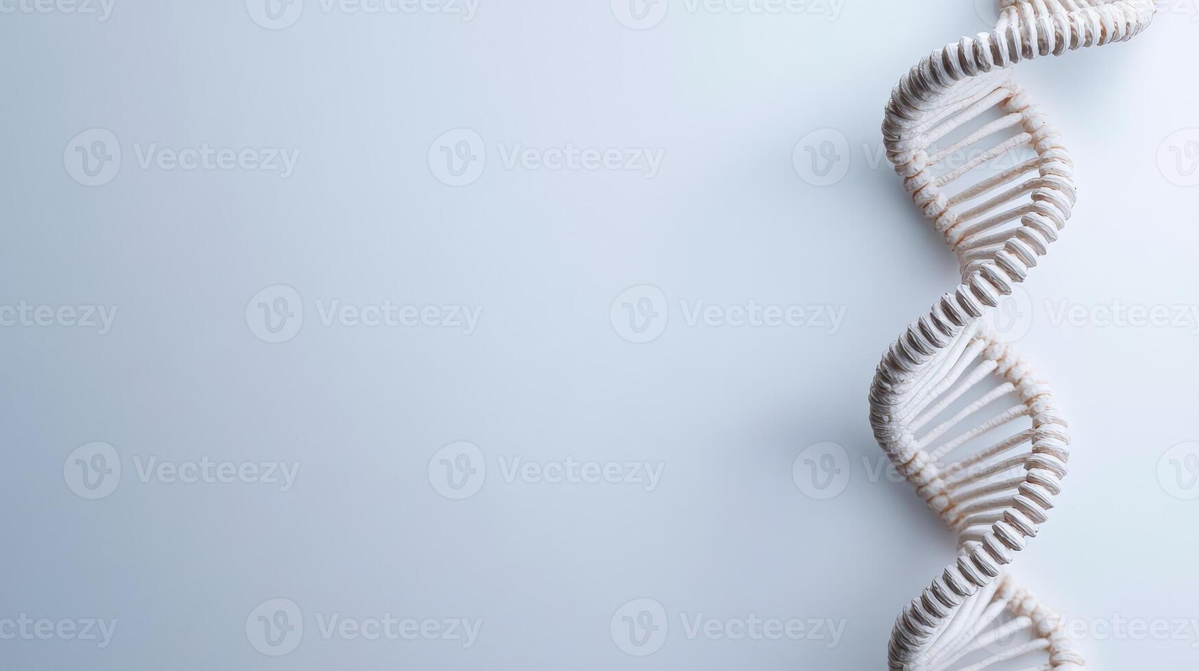 DNA helix model on a simple background photo