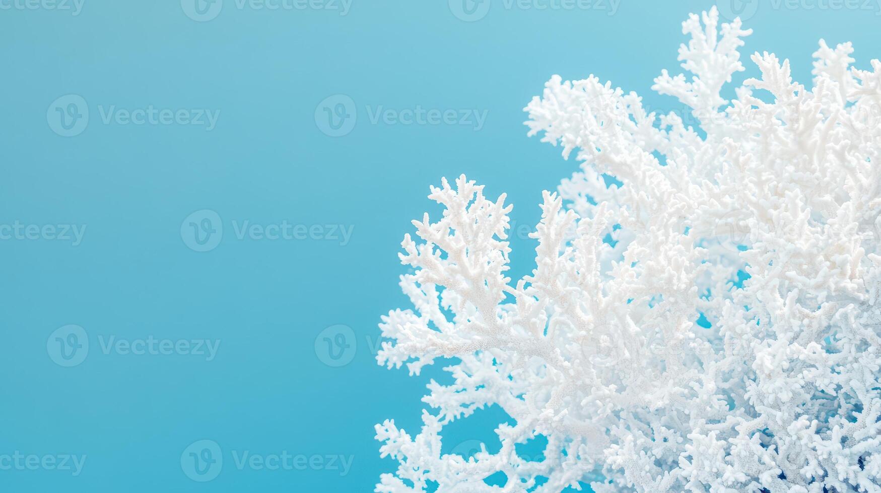 Coral reef formation against blue background photo