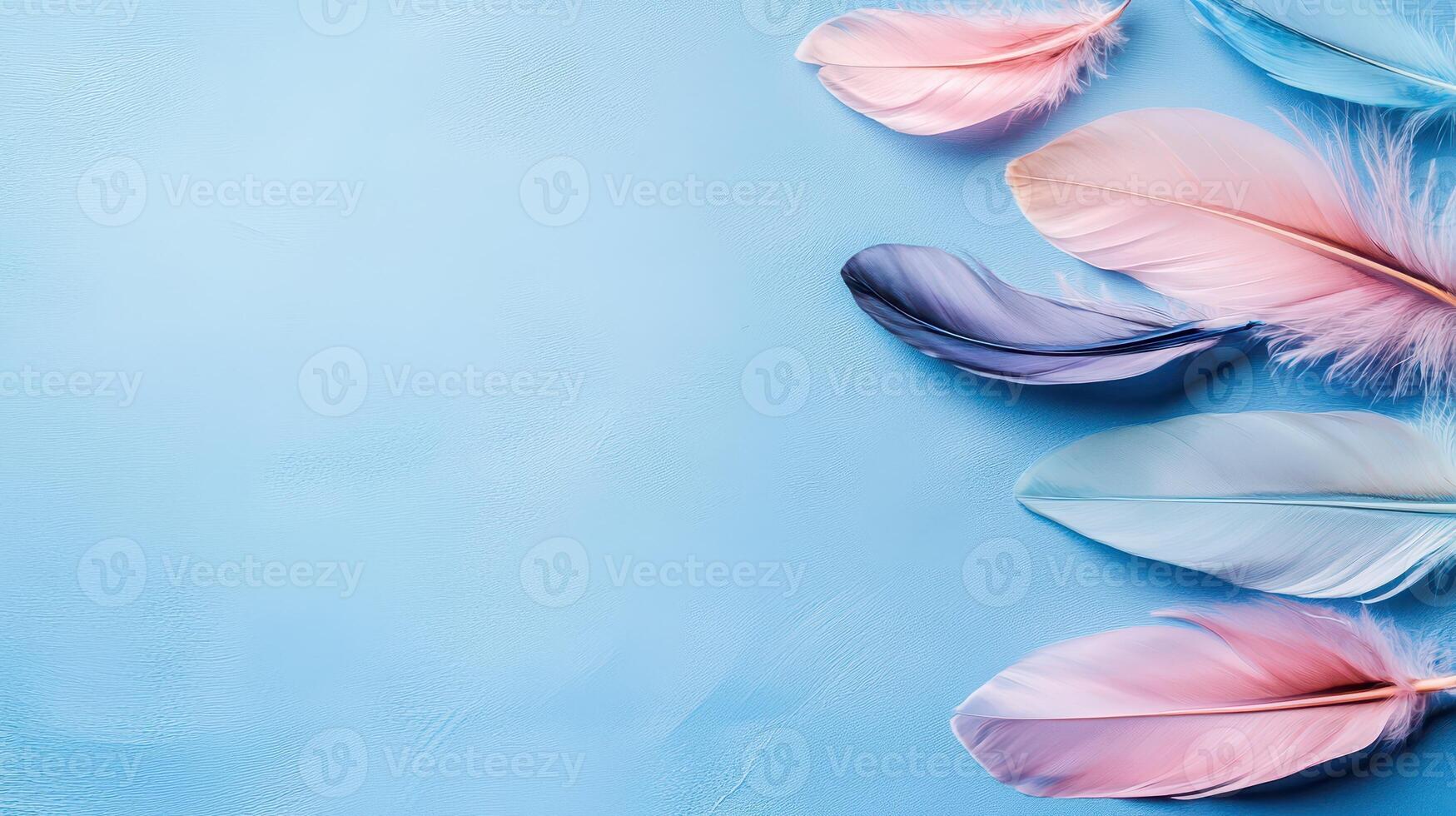 Colorful feathers on light blue photo