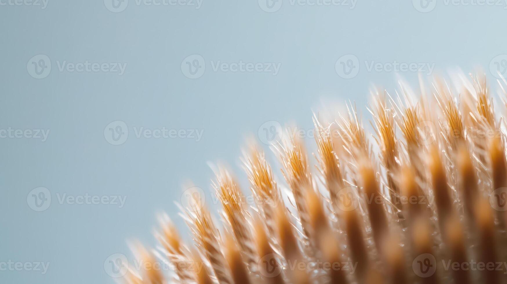 Close up view of a soft brush bristle texture photo