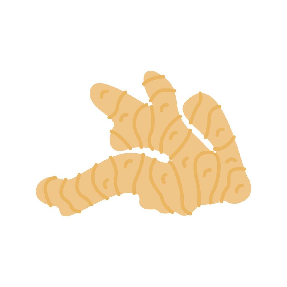 Pastel Color of Ginger illustration. Perfect for health, food, or organic-themed designs, suitable for packaging, branding, and educational visuals. vector