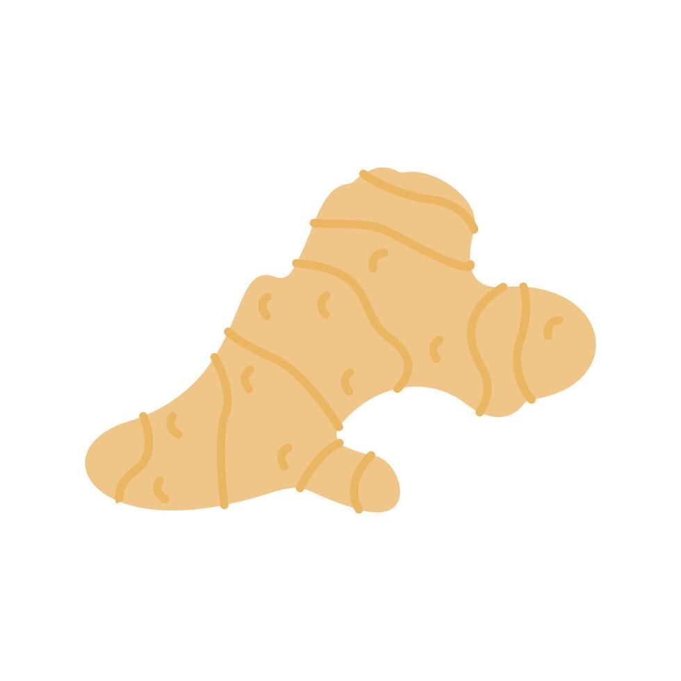 Ginger Slice illustration. Perfect for health, food, or organic-themed designs, suitable for packaging, branding, and educational visuals vector