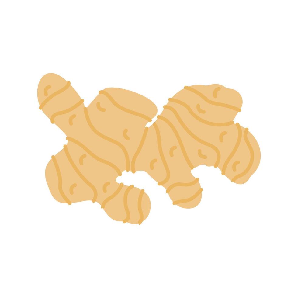 Pastel Color of Ginger illustration. Perfect for health, food, or organic-themed designs, suitable for packaging, branding, and educational visuals vector