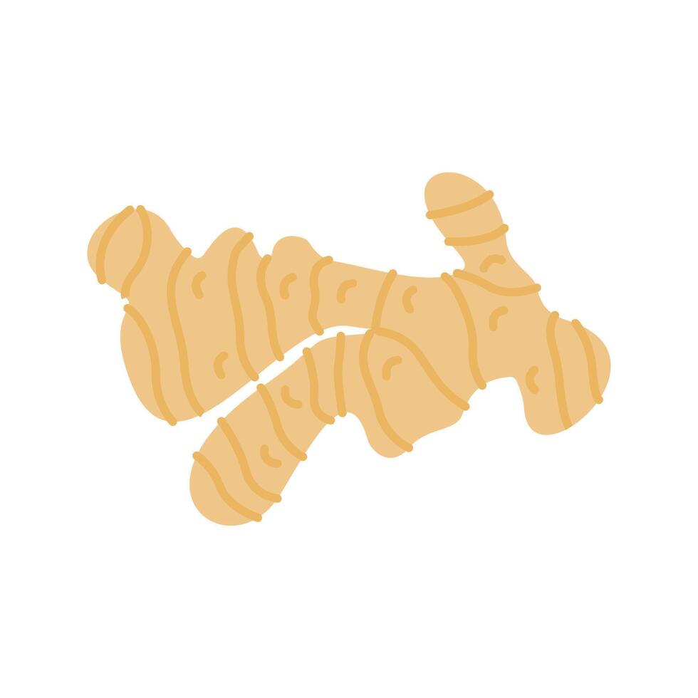 Ginger icon. Perfect for health, food, or organic-themed designs, suitable for packaging, branding, and educational visuals. vector