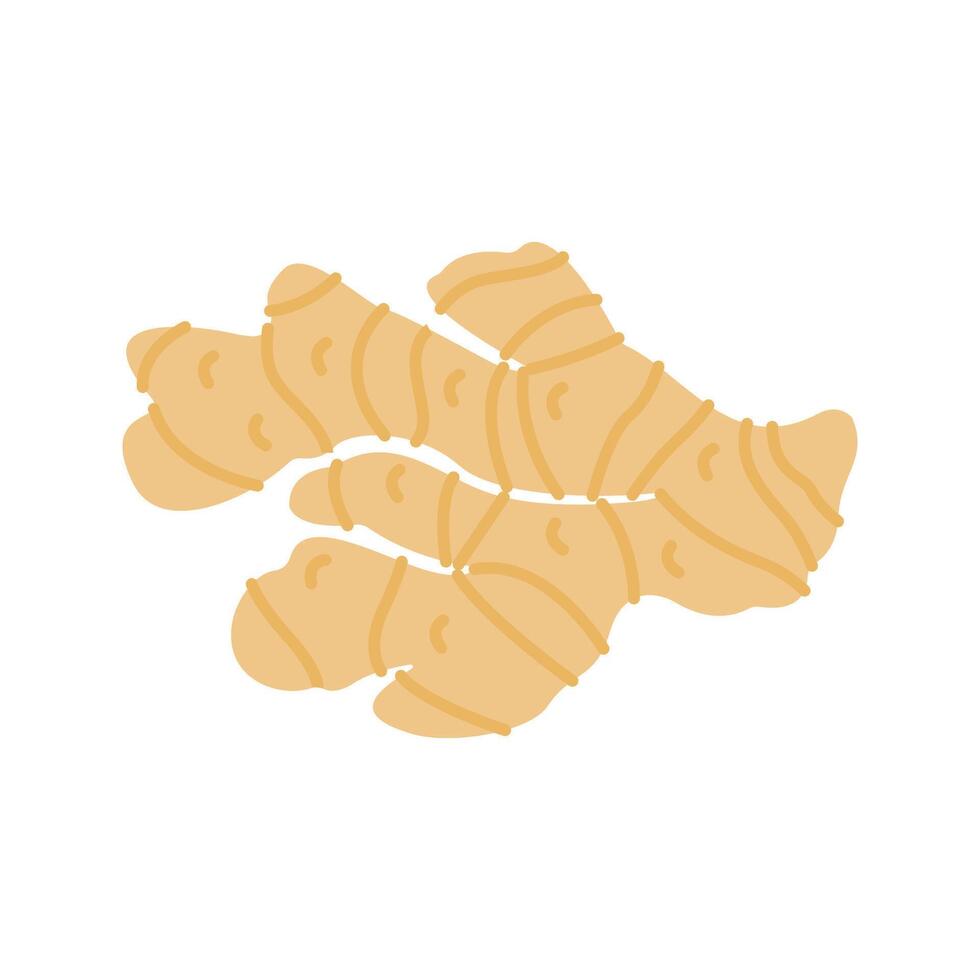 Ginger icon. Perfect for health, food, or organic-themed designs, suitable for packaging, branding, and educational visuals vector