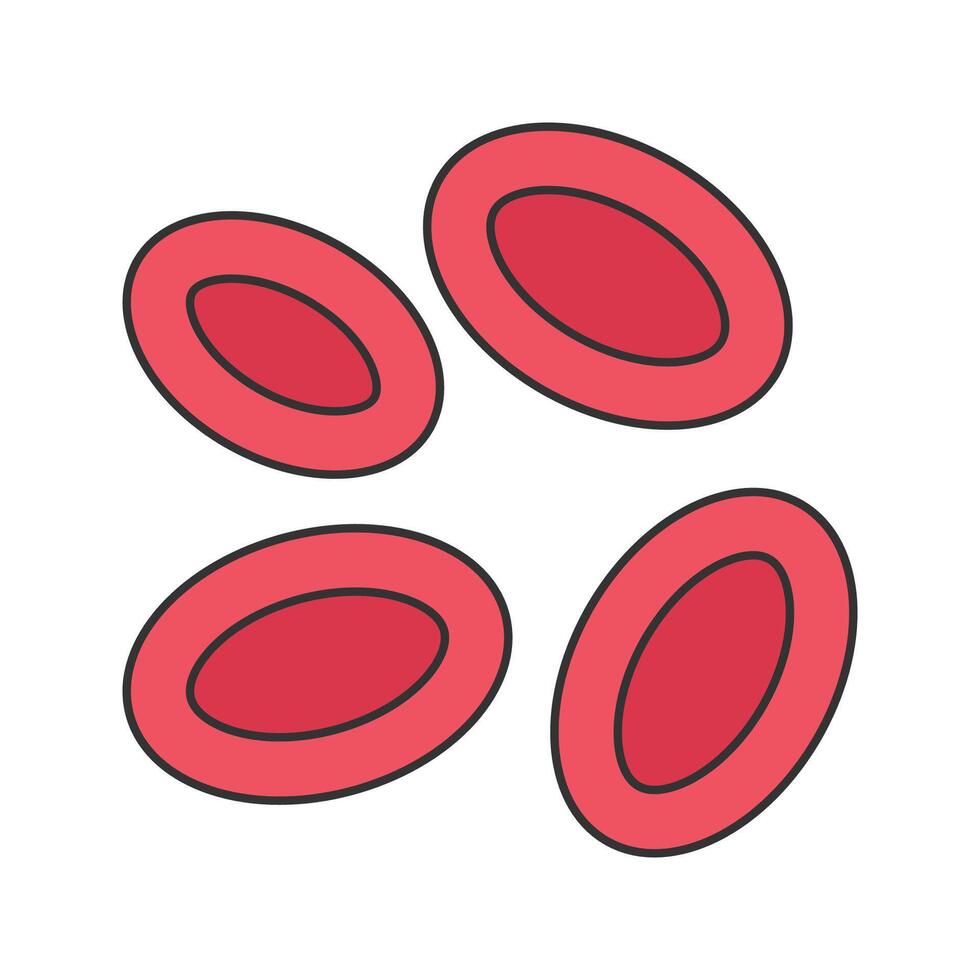Red Blood Cells. Illustration of oval-shaped red blood cells that carry oxygen in the body. vector