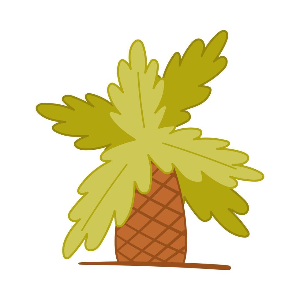 Palm tree tropical plant cartoon illustration on white background vector