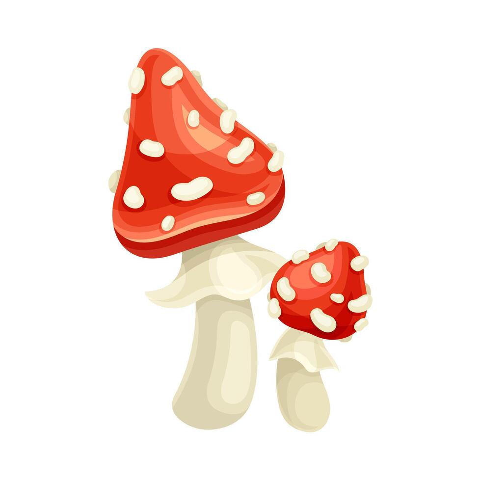 Amanita mushrooms. Cute poisonous toadstools with red spotted cap cartoon illustration vector
