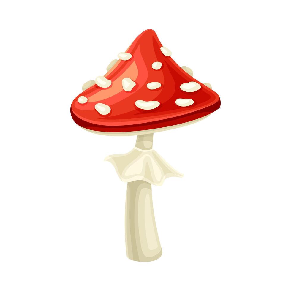 Red fly agaric poisonous mushroom. Amanita muscaria toadstool cartoon illustration vector