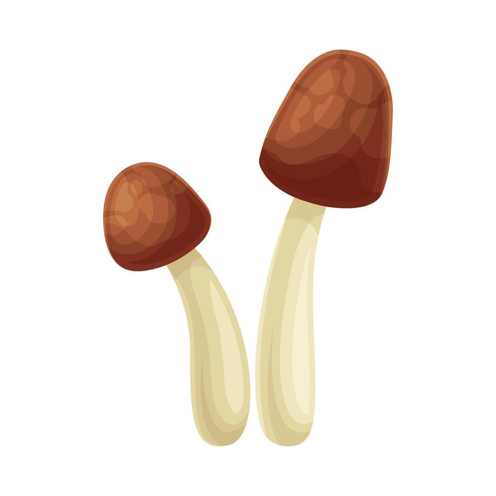Wild forest edible mushroom with brown cap illustration vector