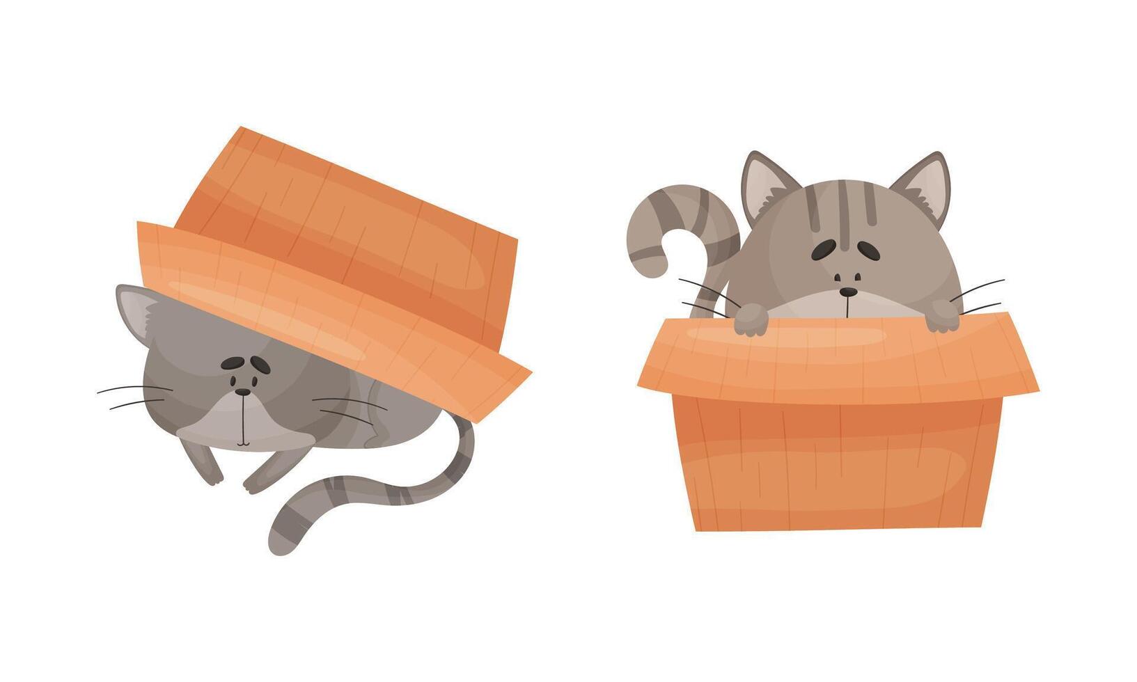 Cute cats in boxes set. Funny pet animals sitting and hiding in cardboard box cartoon illustration vector