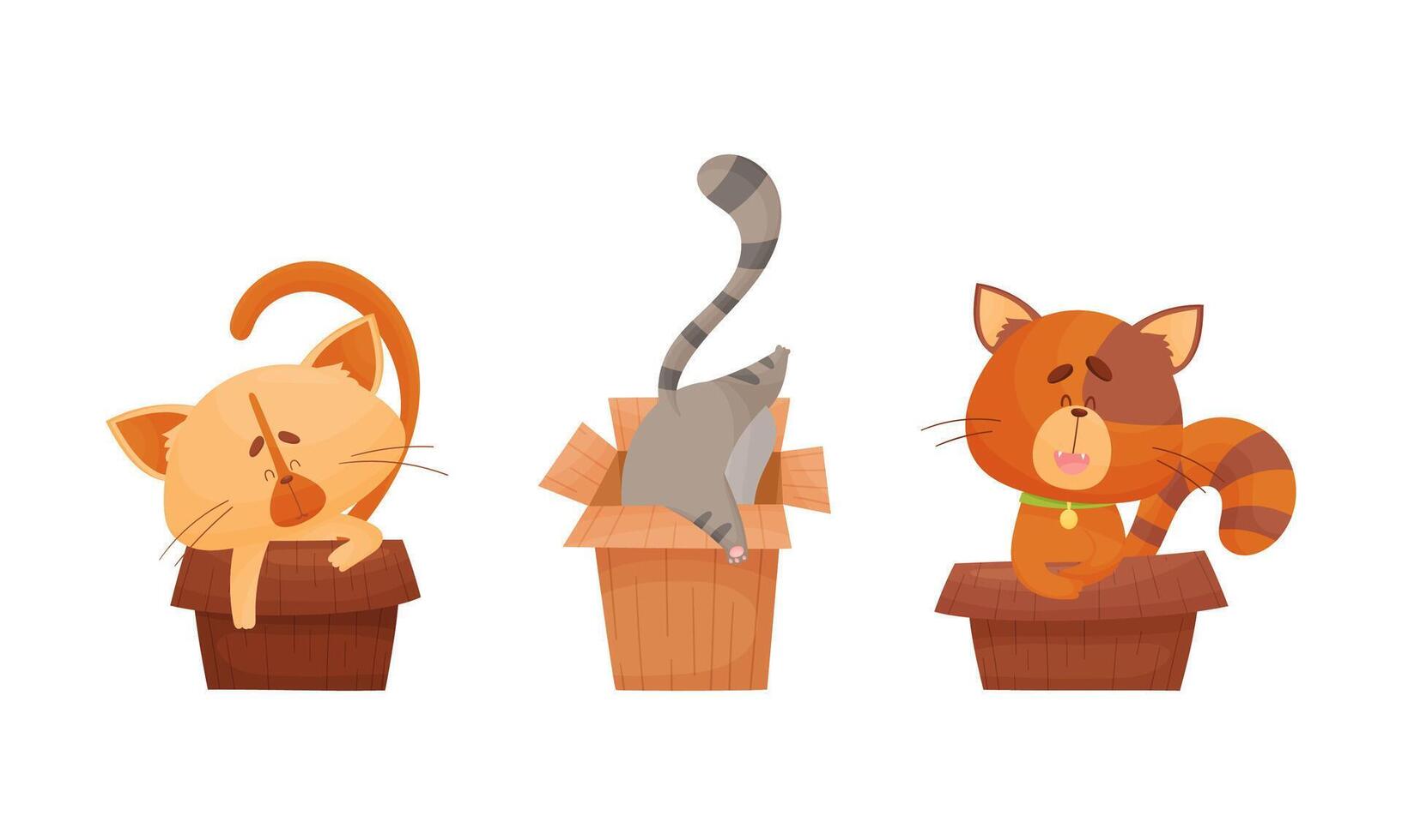 Cute cats in boxes set. Adorable funny pet animals sitting, sleeping and playing in cardboard box cartoon illustration vector