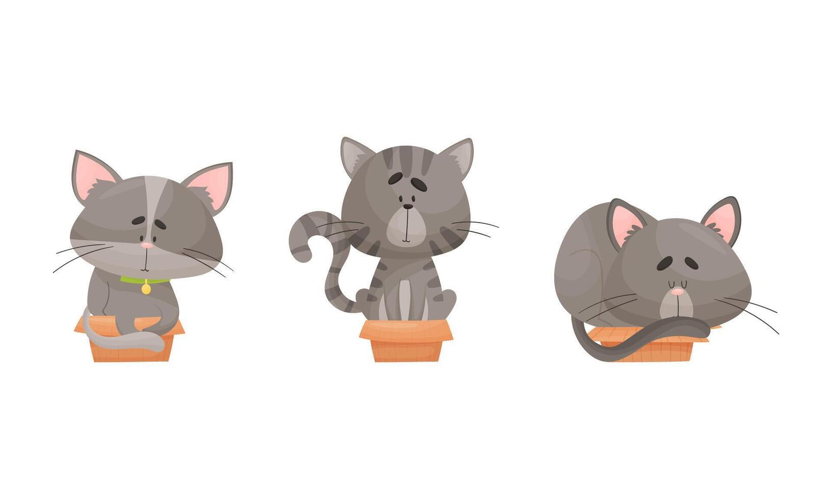 Cute gray cats in boxes set. Funny pets sitting, sleeping and playing in cardboard box cartoon illustration vector