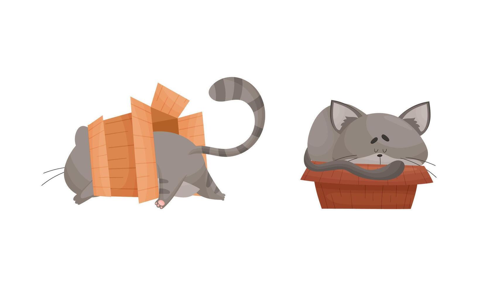 Cute cats in boxes set. Funny gray cat pet sleeping and playing in cardboard box cartoon illustration vector