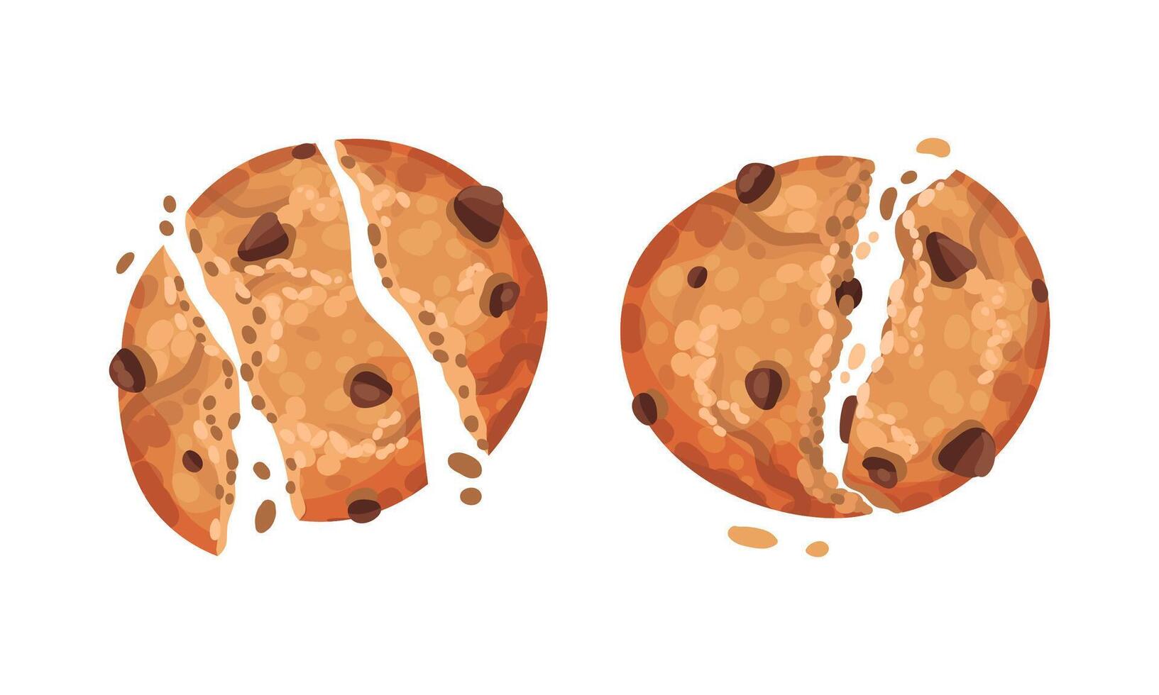 Broken crispy biscuits set. Oatmeal cookies with chocolate chips illustration vector