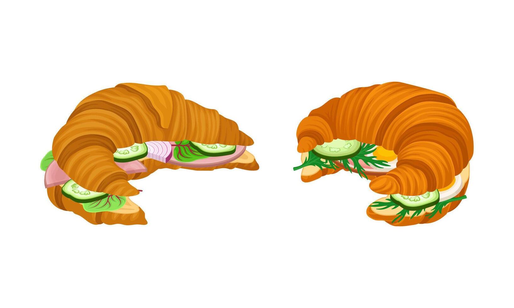 Crunchy croissants with various ingredients set. French croissant with ham, cucumber, sausage, lettuce illustration vector