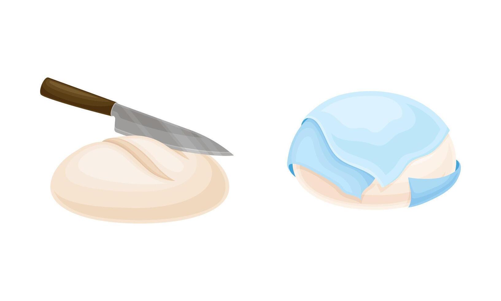Baking bread process set. Dough rested under overlay and unbaked bread illustration vector