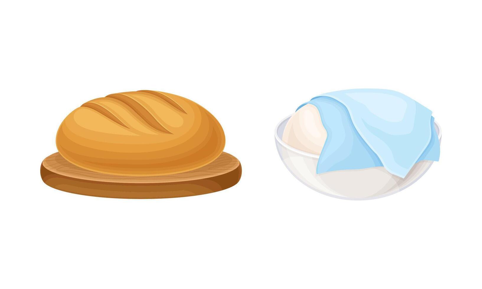 Baking bread process set. Dough rested under overlay and freshly baked bread illustration vector