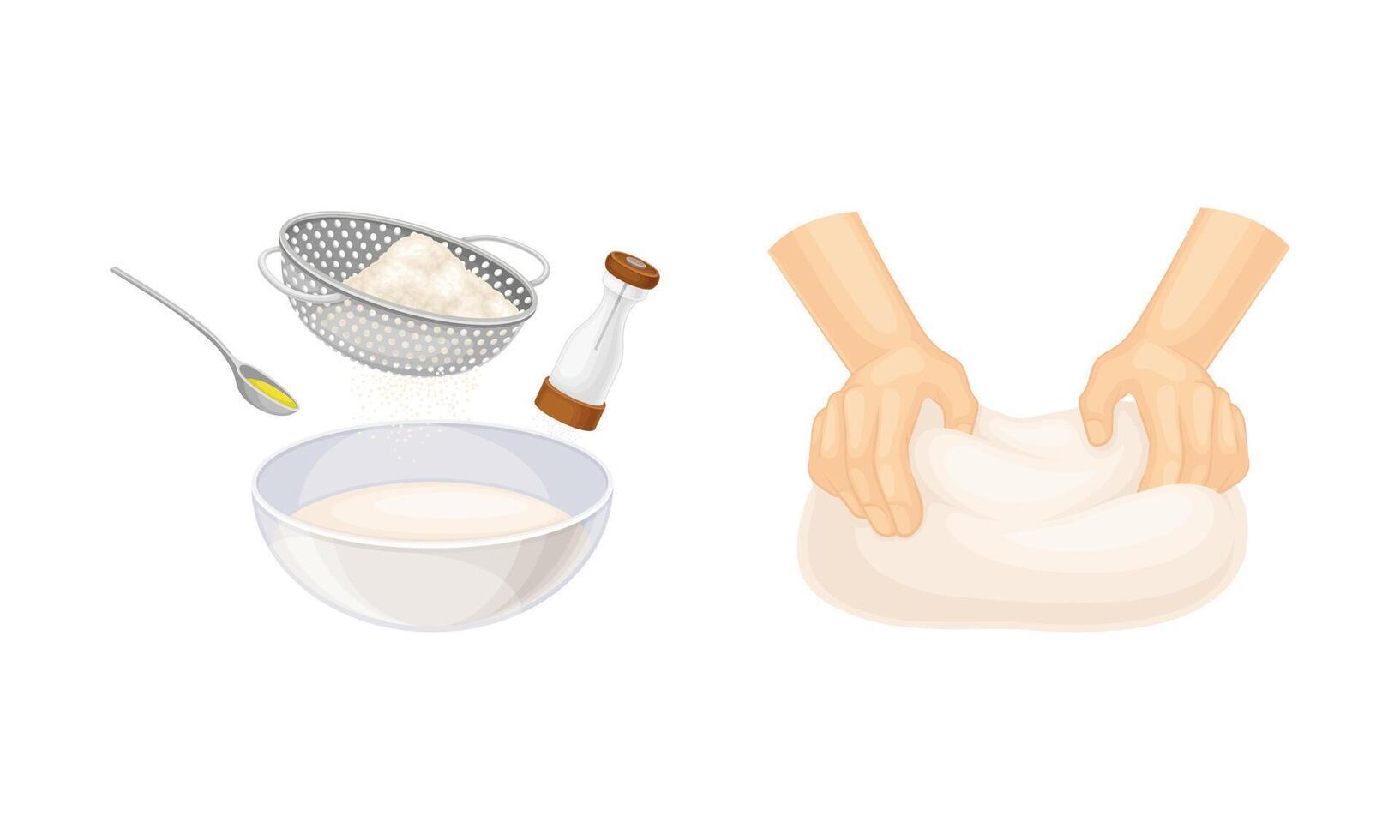 Baking bread process set. Kneading the dough illustration vector