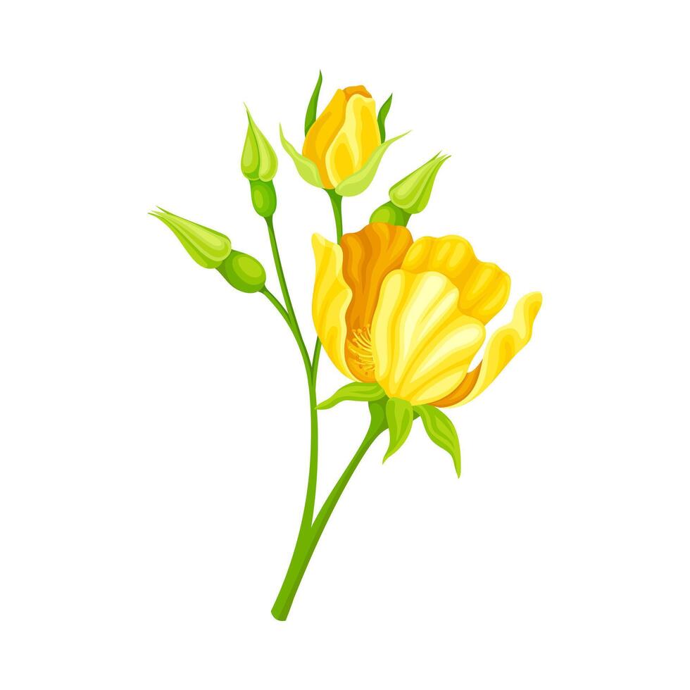 Bright Yellow Rose Flower with Showy Petals on Stem Closeup Illustration vector