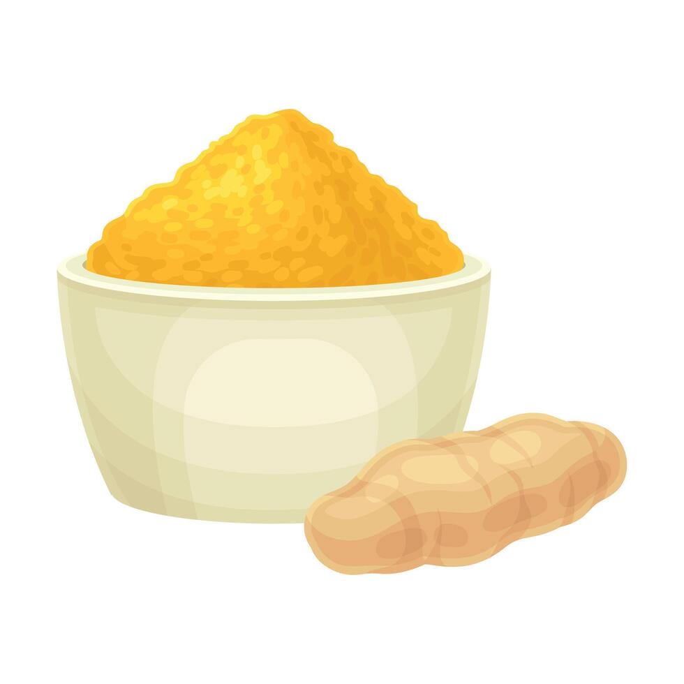Turmeric or Curcuma Longa Rhizome and Powder in Bowl Used in Asian Cuisine Closeup Illustration vector