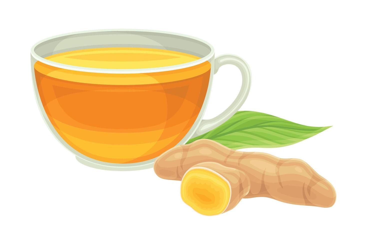 Turmeric or Curcuma Longa Rhizome with Cup of Prepared Beverage Closeup Illustration vector