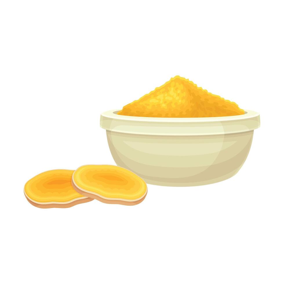 Turmeric or Curcuma Longa Sliced Rhizome and Powder in Bowl Closeup Illustration vector