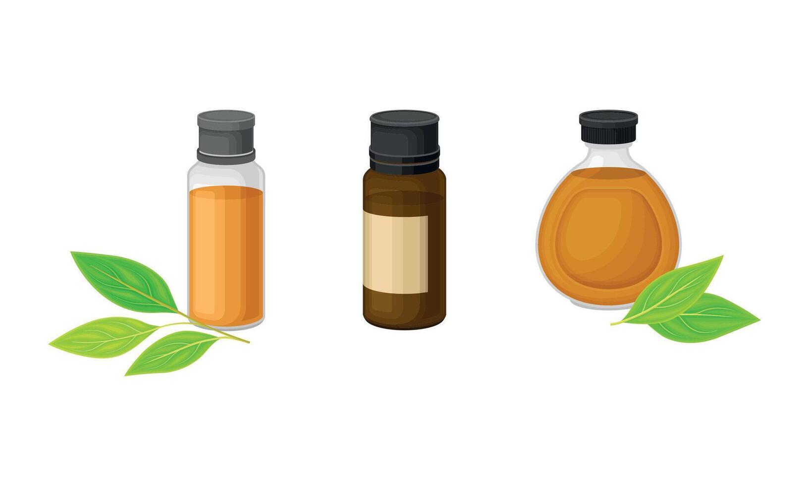 Glass Bottle and Jar with Essential Oil of Sandalwood Set vector