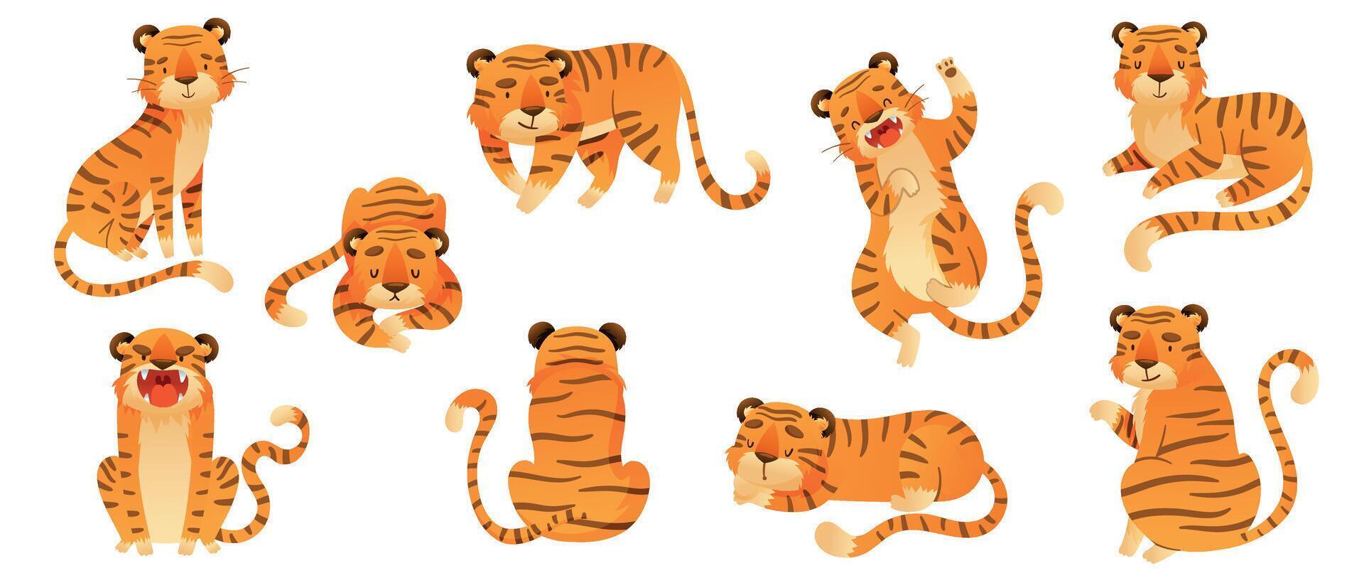 Set of tigers in various poses. Wild predator animals cartoon illustration vector