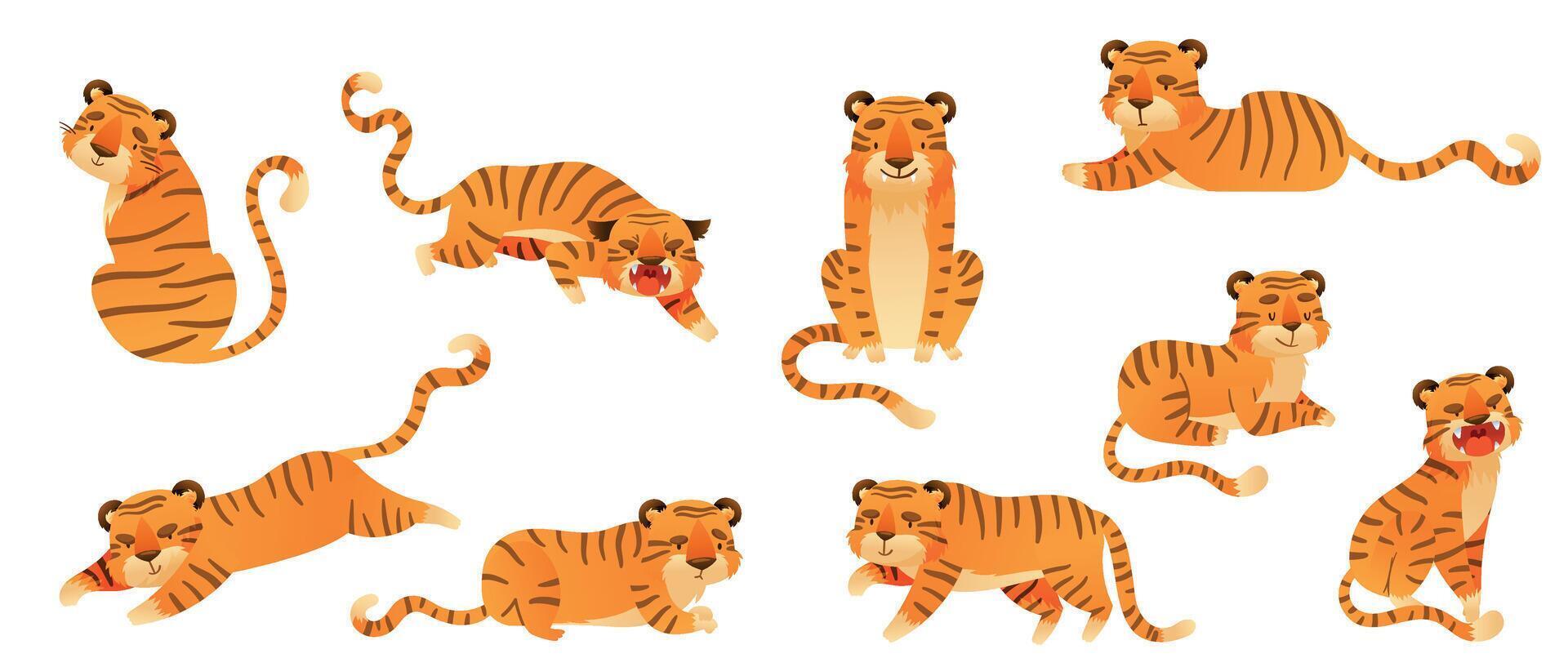 Cute tiger in various poses set. Jungle wild predator animals cartoon illustration vector