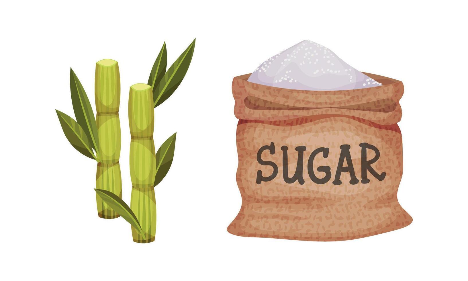 Burlap Sack Full of Refined Sugar and Sugarcane as Sweetener for Food and Drink Set vector