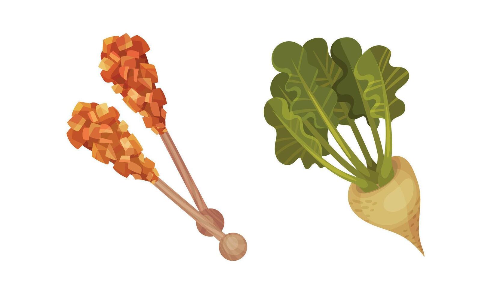 Caramelized Brown Sugar on Wooden Stick and Sugar Beet as Sweet Snack Set vector