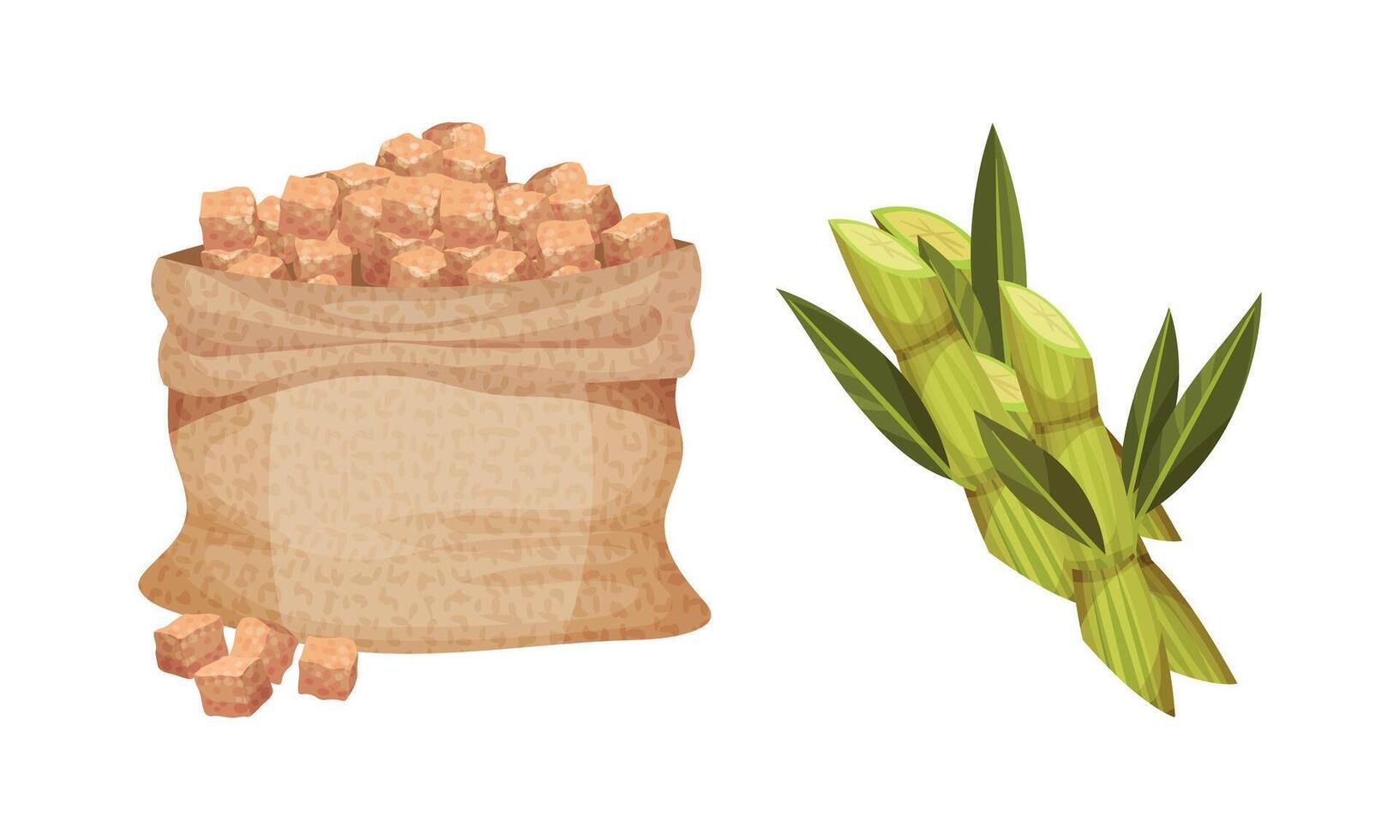 Pile of Brown Sugar Cubes in Sack and Sugarcane as Sweetener for Tea and Coffee Set vector