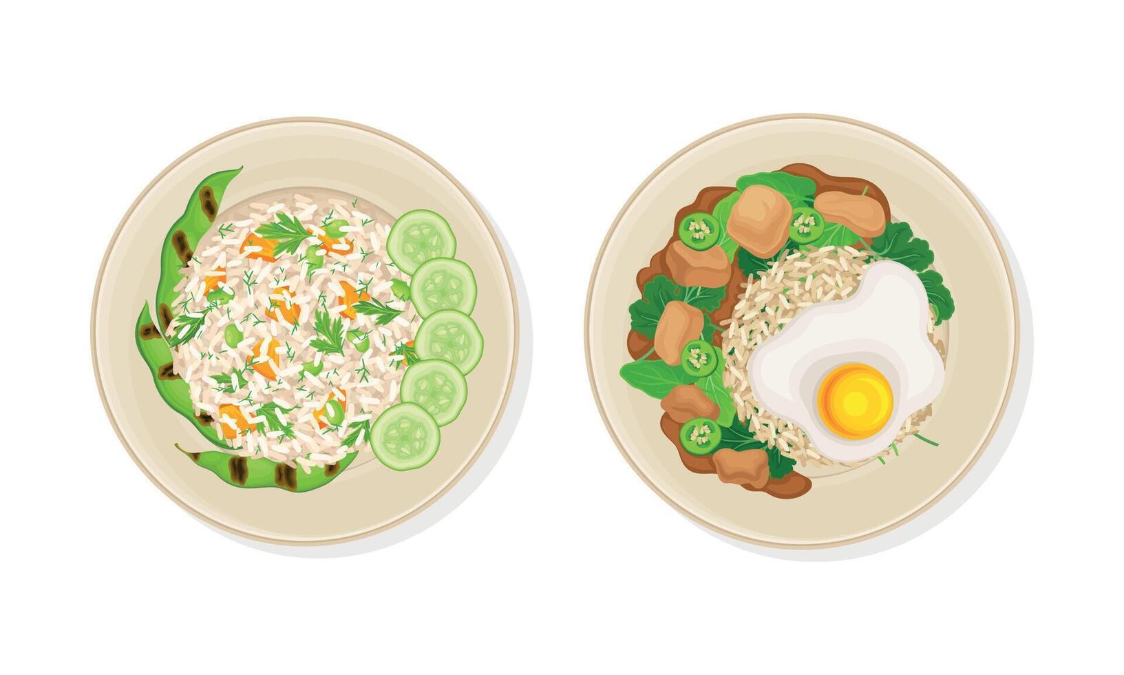 Thai Dish and Main Course with Rice and Scrambled Egg Served on Plate Above View Set vector