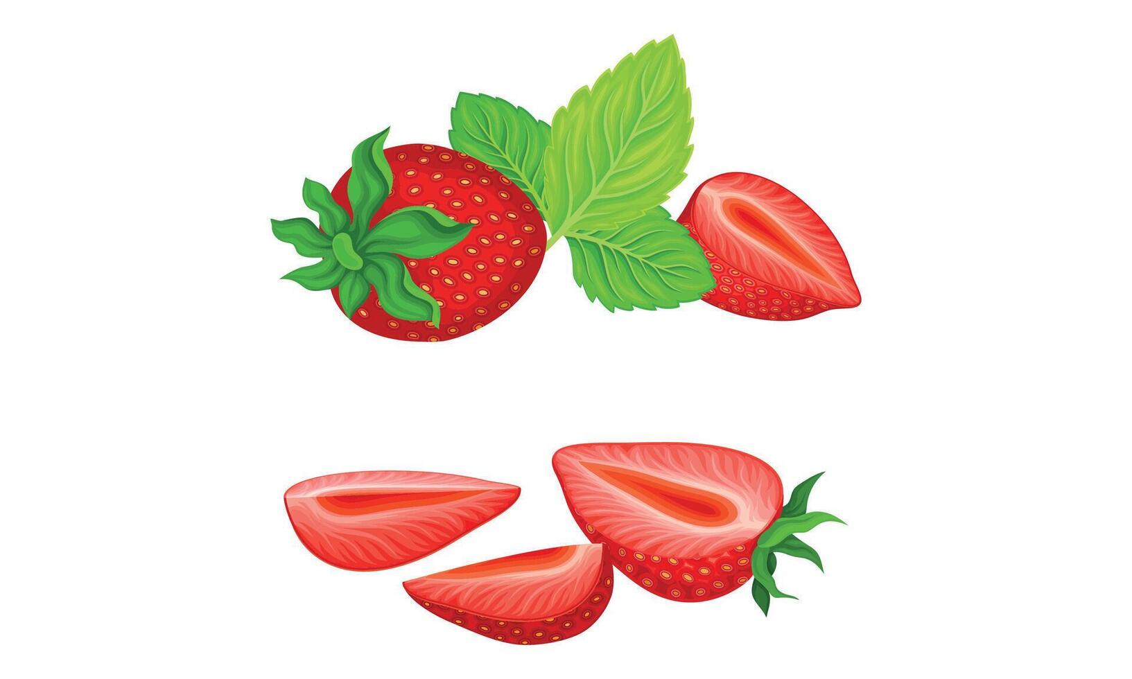 Mature Red Strawberry in Half with Leaves Set vector