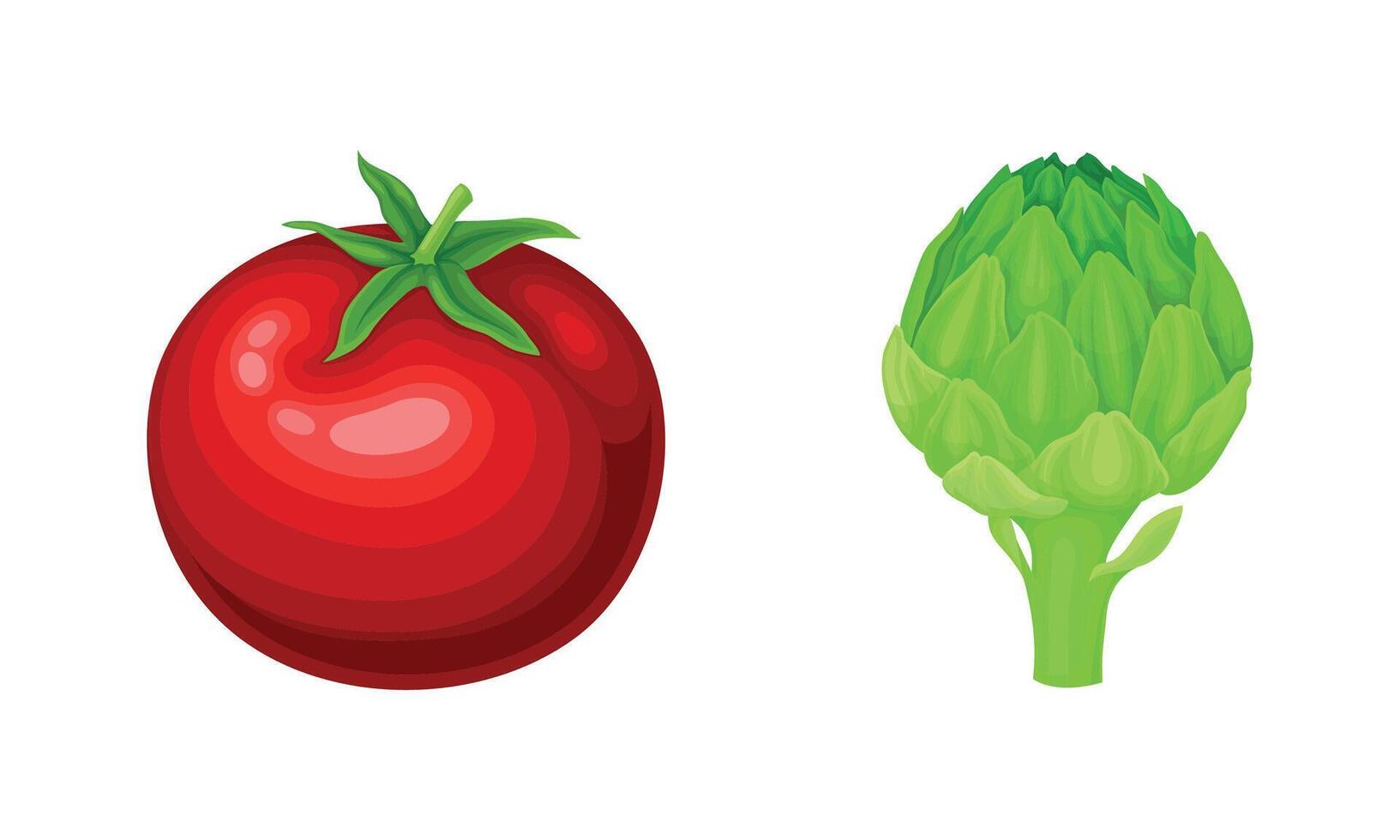 Red Tomato and Artichoke as Ripe Vegetable and Healthy Raw Food Set vector