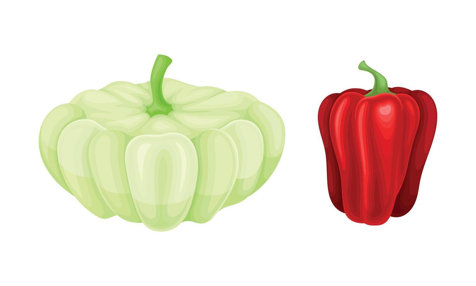 Scallop Squash and Bell Pepper as Ripe Vegetable and Healthy Raw Food Set vector