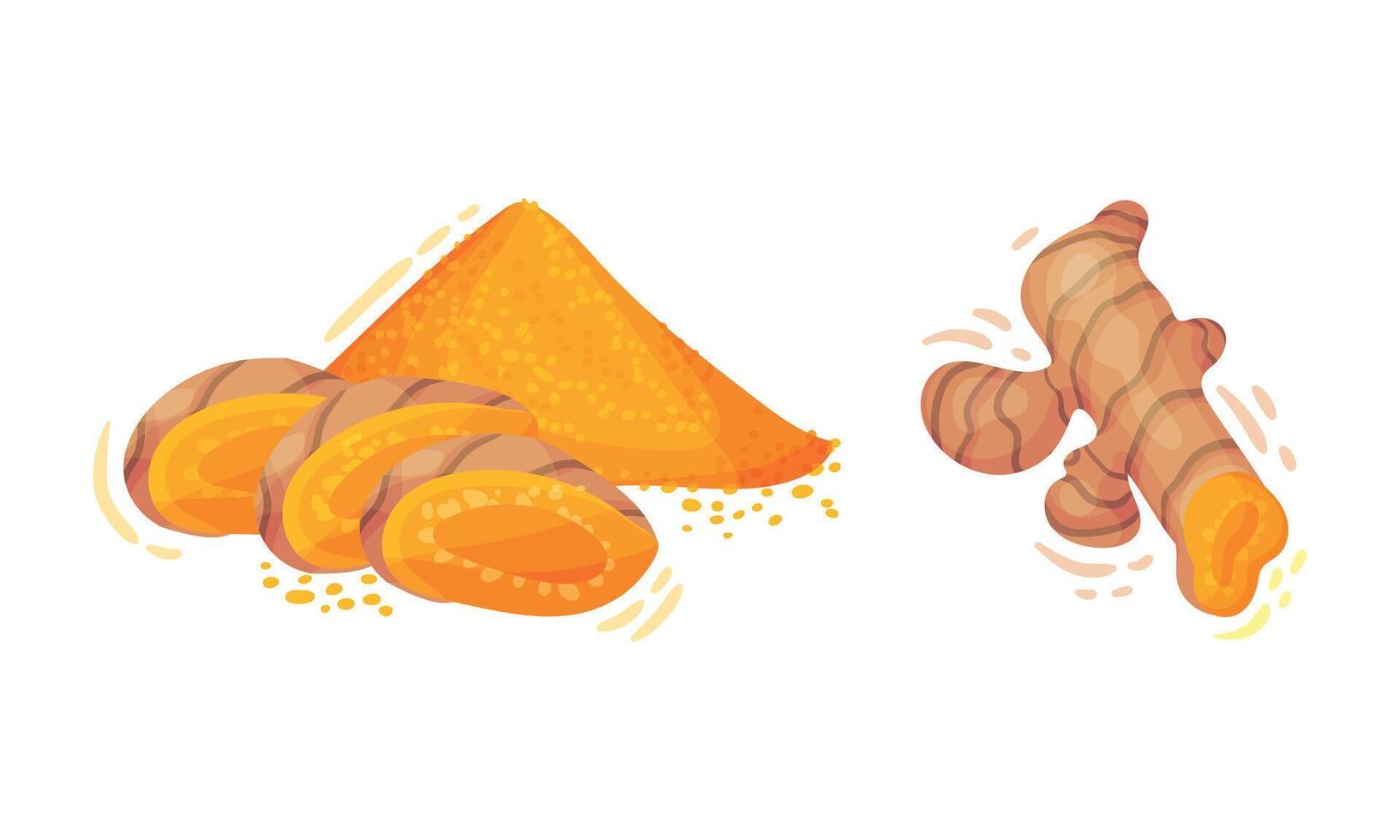 Turmeric Rhizome or Root and Powder Pile Set vector