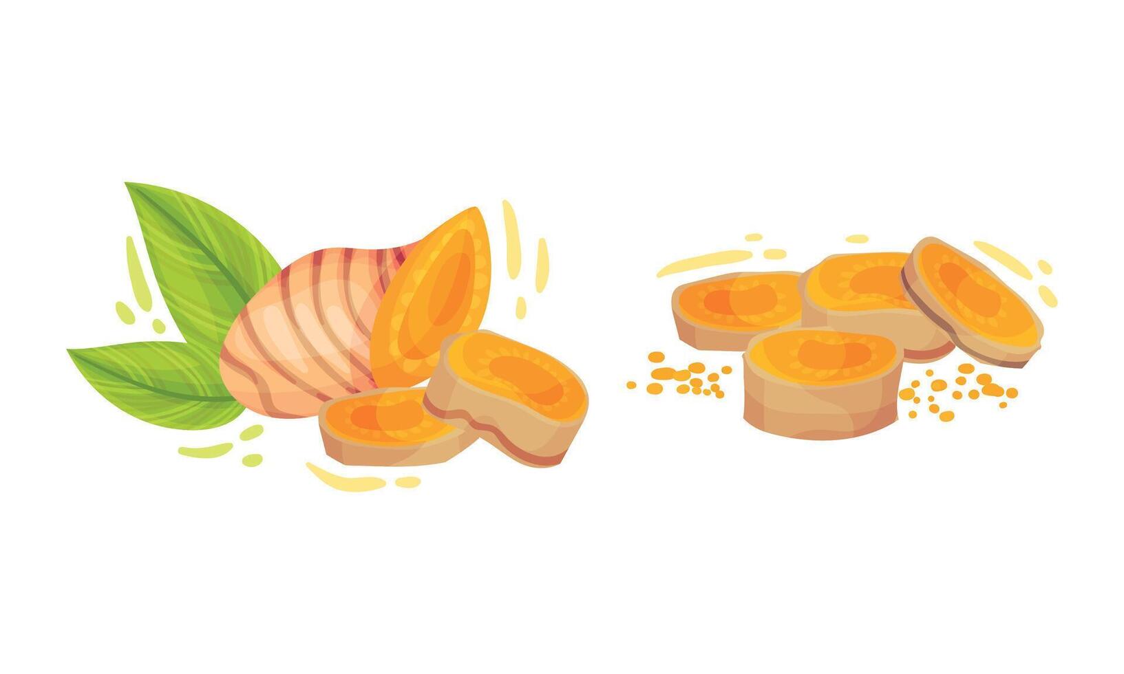 Sliced Turmeric Rhizome or Root and Green Leaf Set vector